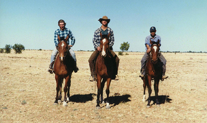 Image Example for jackaroo