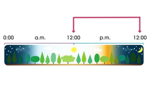 Image Example for p.m