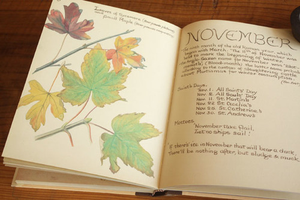 Image Example for read English stories