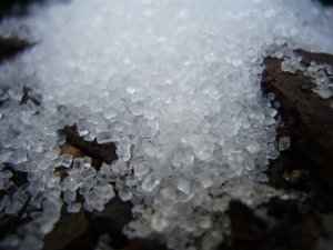 Image Example for sugar