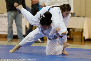 Image Example for do judo
