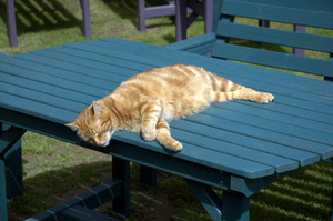 Image Example for have a rest