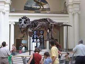 Image Example for museum