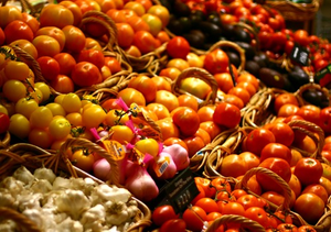 Image Example for a variety of