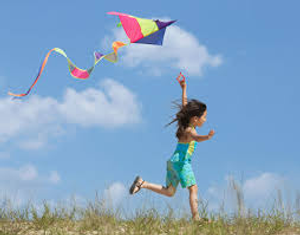 Image Example for fly one’s kite