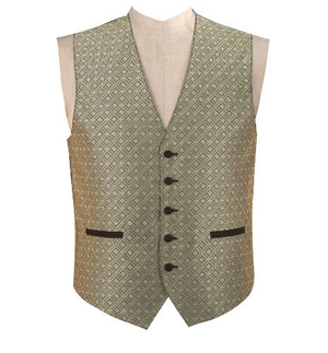 Image Example for vest