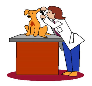 Image Example for vet