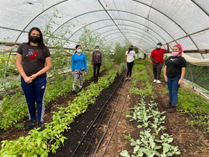 Image Example for visit an eco-farm