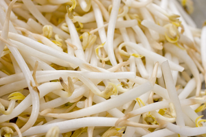 Image Example for bean sprout