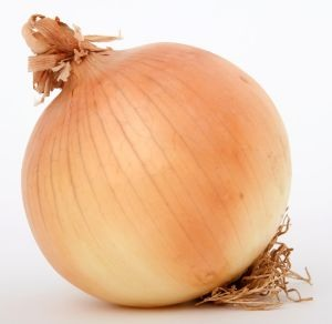 Image Example for onion