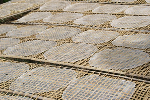 Image Example for rice paper