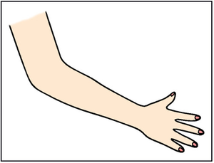 Image Example for arm