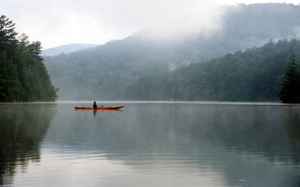 Image Example for quiet