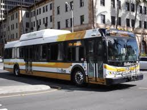 Image Example for bus