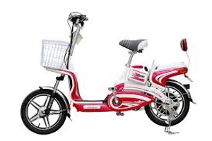 Image Example for electric bike