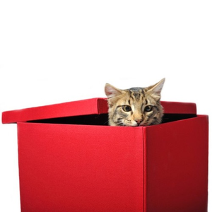 Image Example for inside