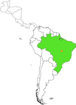 Image Example for Brazil