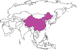 Image Example for China