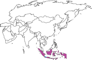 Image Example for Indonesia