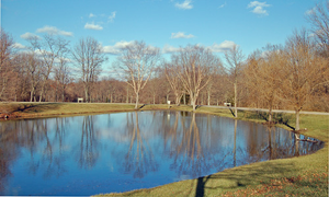 Image Example for pond