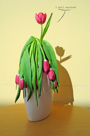 Image Example for alive