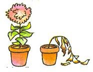 Image Example for dead