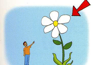 Image Example for huge