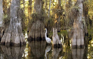 Image Example for national park