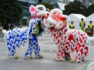 Image Example for lion dance