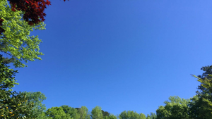 Image Example for clear