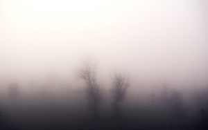 Image Example for foggy