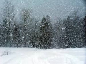 Image Example for snowstorm