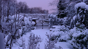 Image Example for snowy