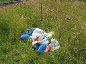 Image Example for litter