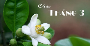 Image Example for March