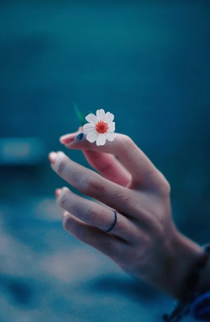 Image Example for photo