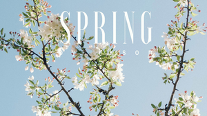 Image Example for spring