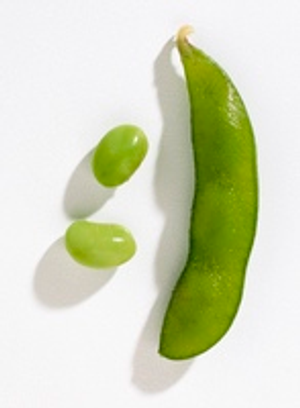 Image Example for beans