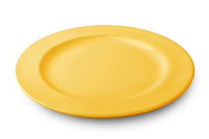 Image Example for plate