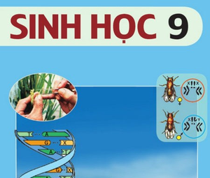 Image Example for biology