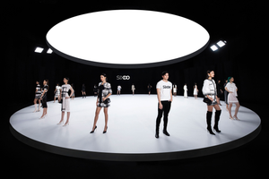 Image Example for show