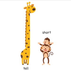 Image Example for tall