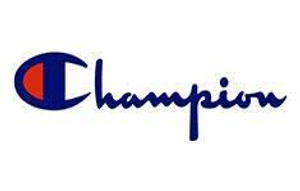 Image Example for champion