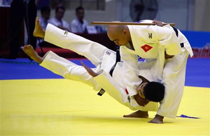 Image Example for judo