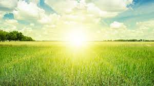 Image Example for day