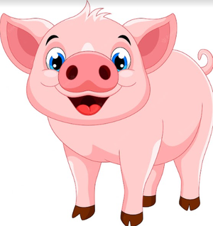 Image Example for pig