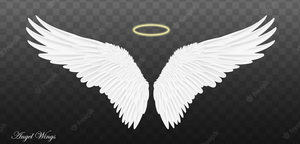 Image Example for wings