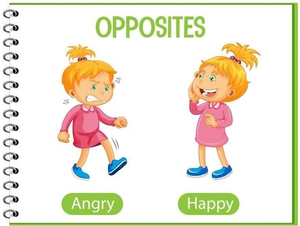 Image Example for opposite