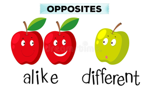 Image Example for alike