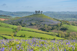 Image Example for hill